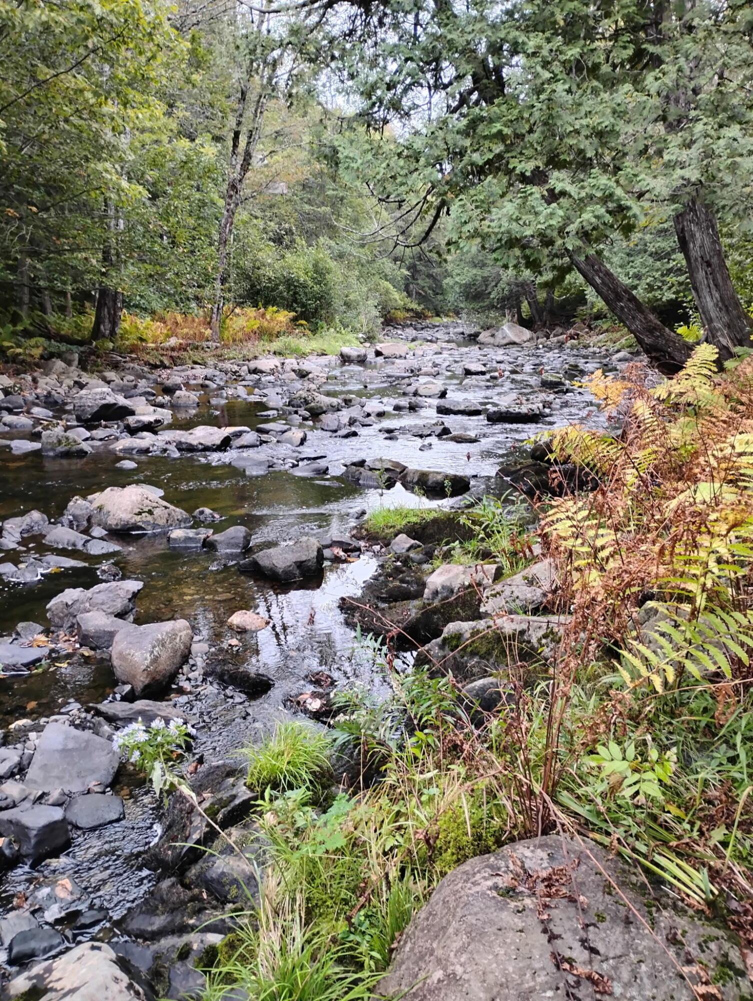 M1-l1-3 Bowerbank Road Sebec, ME 04481 - Photo 3 of 39