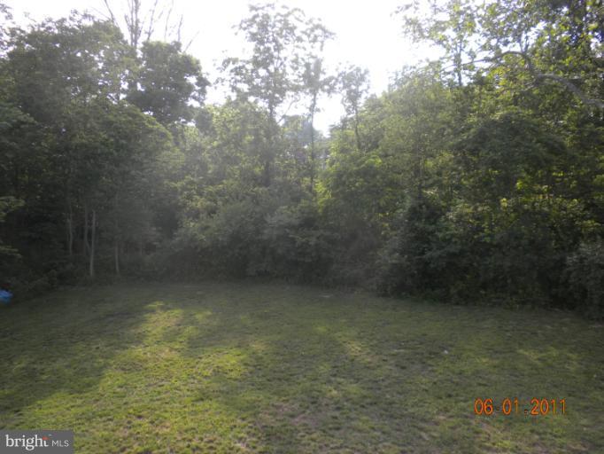3 Gibson Road Inwood, WV 25428 - Photo 6 of 15 Exterior (Rear)