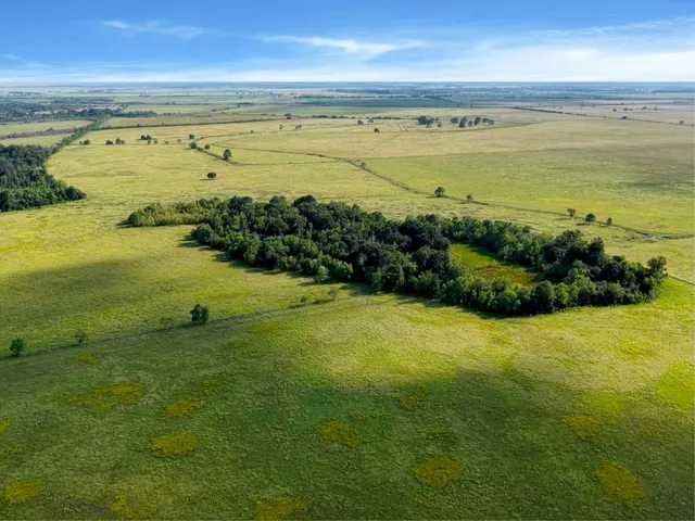 a view of an ocean and beach