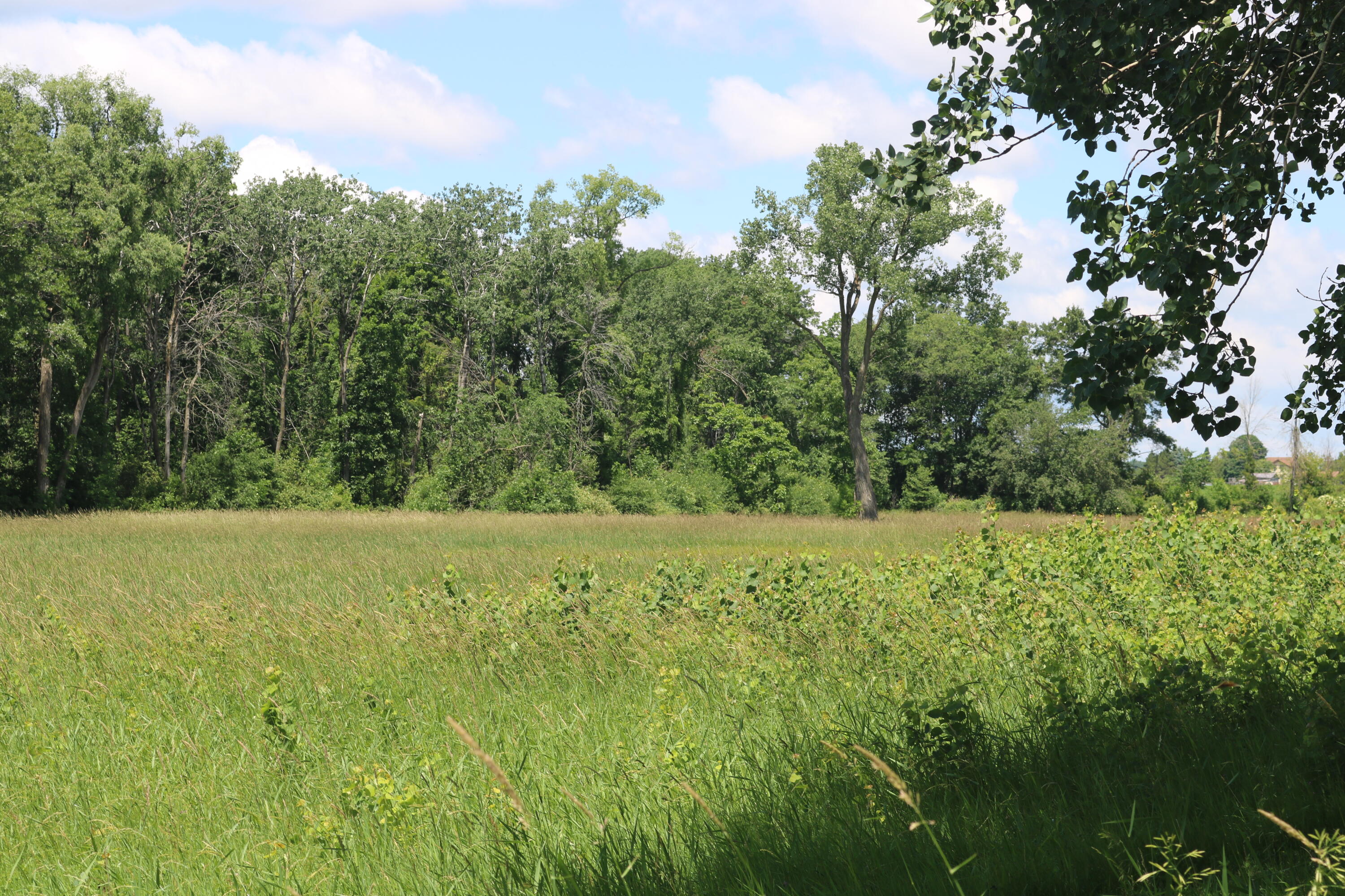 5 5 Mile Road Watertown, WI 53098 - Photo 8 of 17 IMG_1570