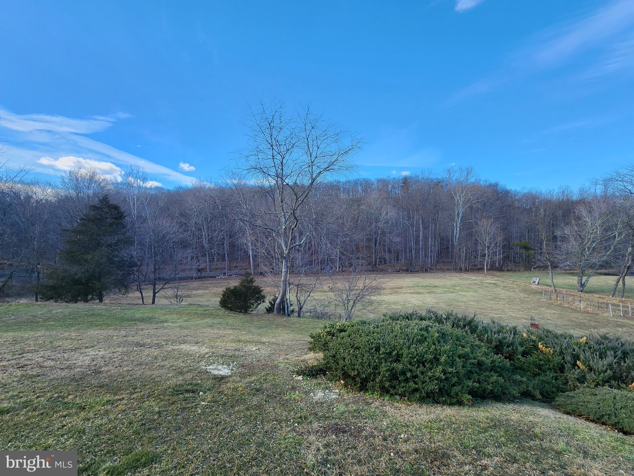 5290 Winchester Grade Road Berkeley Springs, WV 25411 - Photo 51 of 66 Back yard