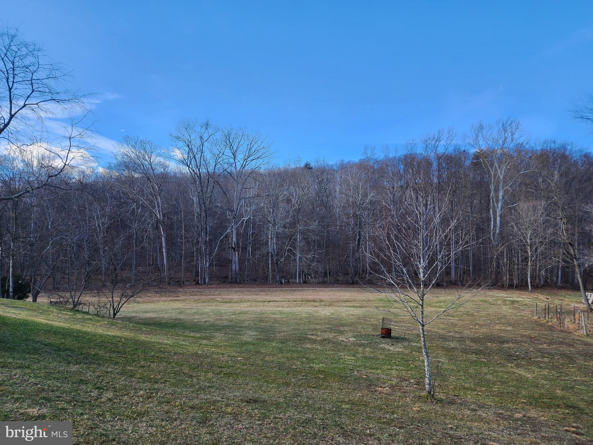 5290 Winchester Grade Road Berkeley Springs, WV 25411 - Photo 66 of 66 Back yard