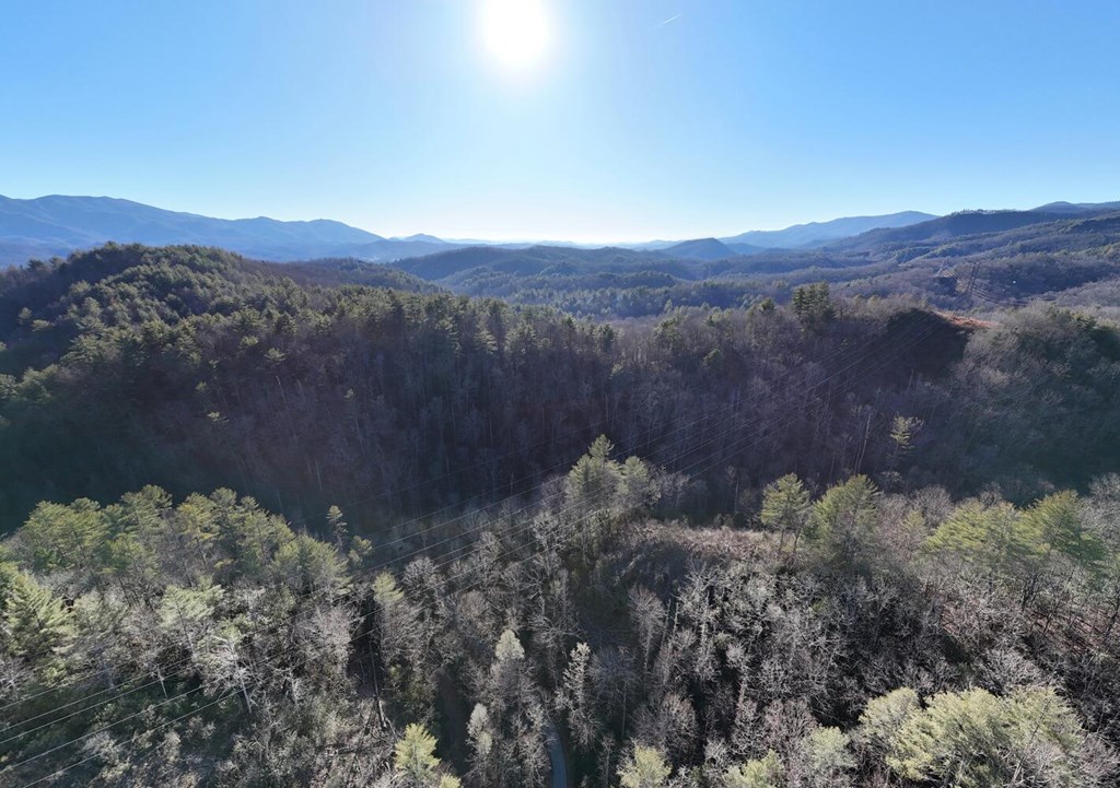 6.83-ac Webb Creek Road Andrews, NC 28901 - Photo 16 of 18
