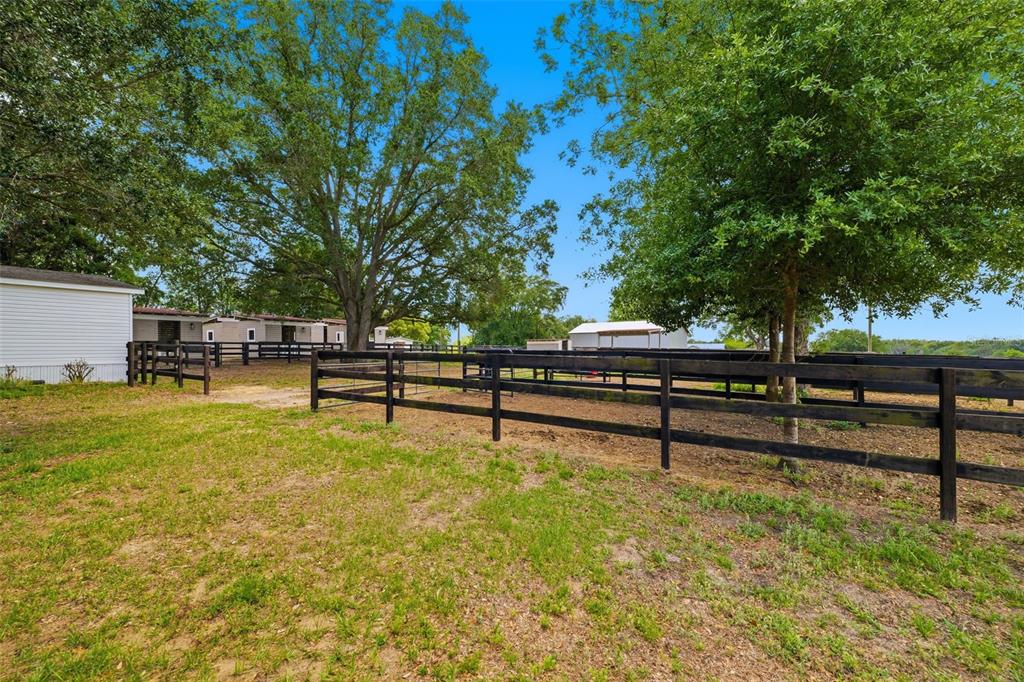 8606 Boyt Road Zephyrhills, FL 33540 - Photo 34 of 85