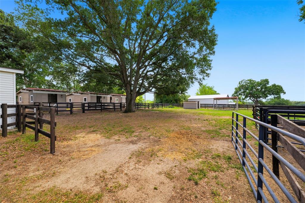 8606 Boyt Road Zephyrhills, FL 33540 - Photo 35 of 85