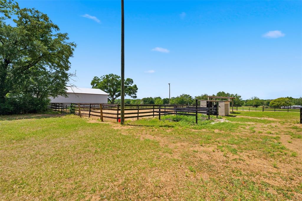 8606 Boyt Road Zephyrhills, FL 33540 - Photo 43 of 85