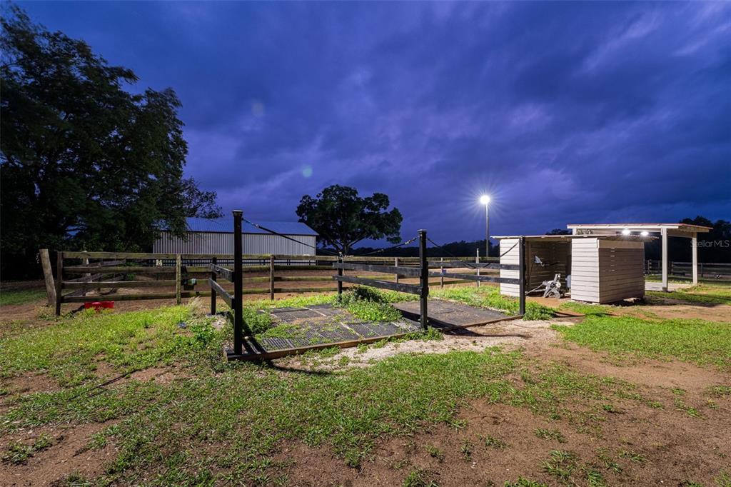 8606 Boyt Road Zephyrhills, FL 33540 - Photo 66 of 85