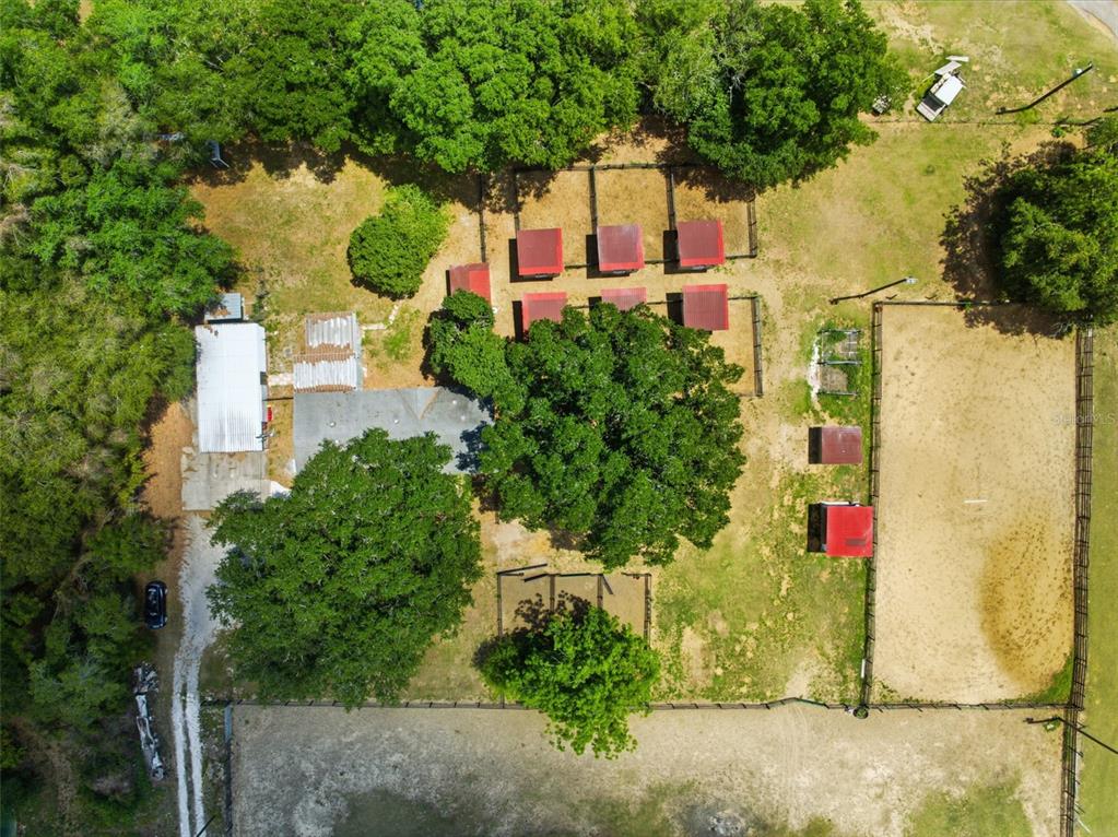 8606 Boyt Road Zephyrhills, FL 33540 - Photo 76 of 85