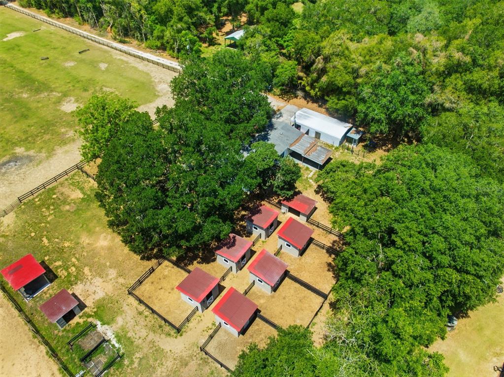 8606 Boyt Road Zephyrhills, FL 33540 - Photo 81 of 85
