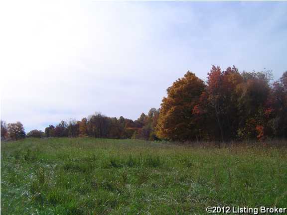 0 Swamp Hollow Road Canmer, KY 42722 - Photo 5 of 15 Additional Photo