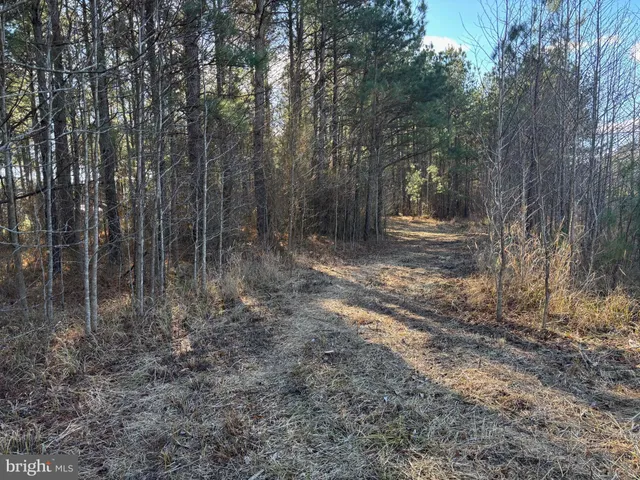 $260,000 | Lot 4 Molly Field Road, Dagsboro, DE 19939