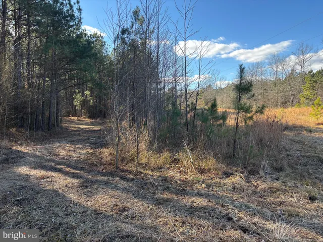 $260,000 | Lot 4 Molly Field Road, Dagsboro, DE 19939