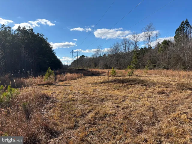 $260,000 | Lot 4 Molly Field Road, Dagsboro, DE 19939