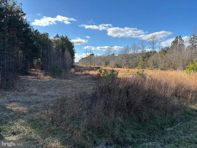 $260,000 | Lot 4 Molly Field Road, Dagsboro, DE 19939