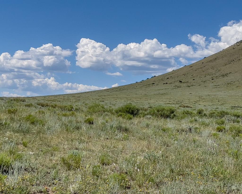 L10 County Road Louisville, CO 80027 - Photo 5 of 7