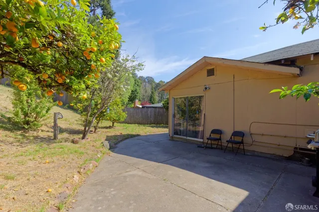 a view of backyard with hardwood