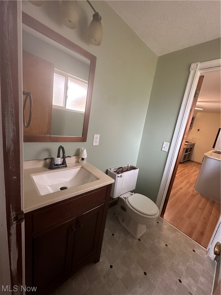 4410 Lane Road Painesville, OH 44077 - Photo 26 of 30 Bathroom featuring toilet, vinyl floors, a textured ceiling, and vanity with extensive cabinet space