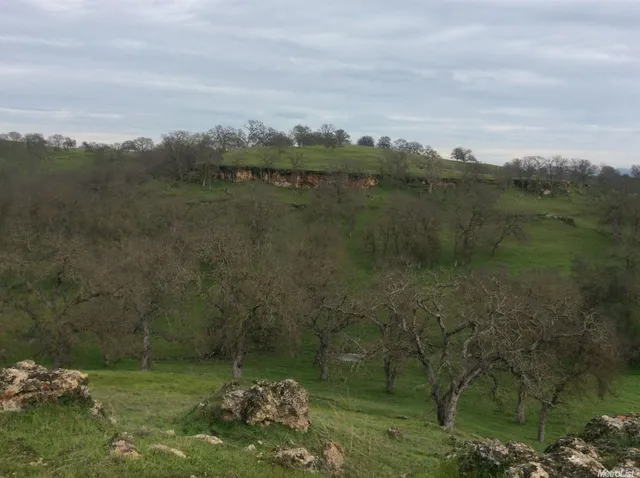a view of a lake with a mountain in the background