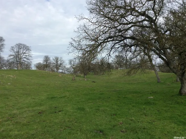 a view of a green field with trees