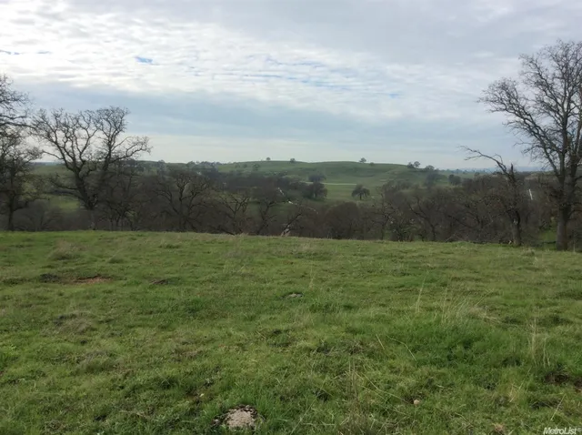 a view of an outdoor space and a yard
