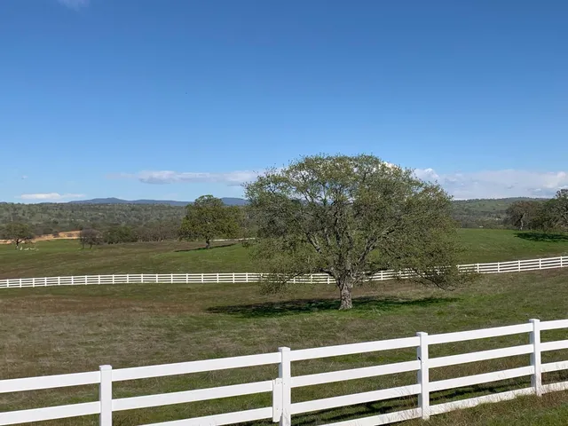 a view of a lake from a yard