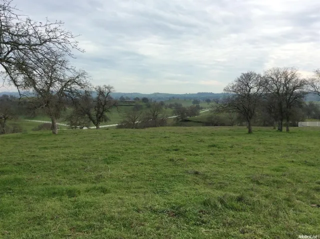 a view of outdoor space with green field and trees all around