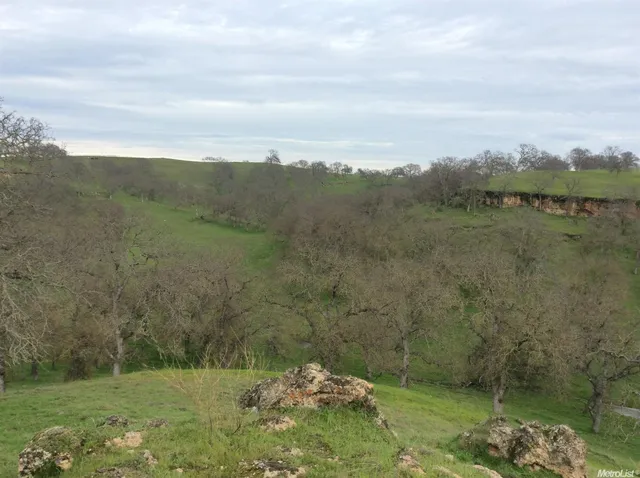 a view of lake with green space