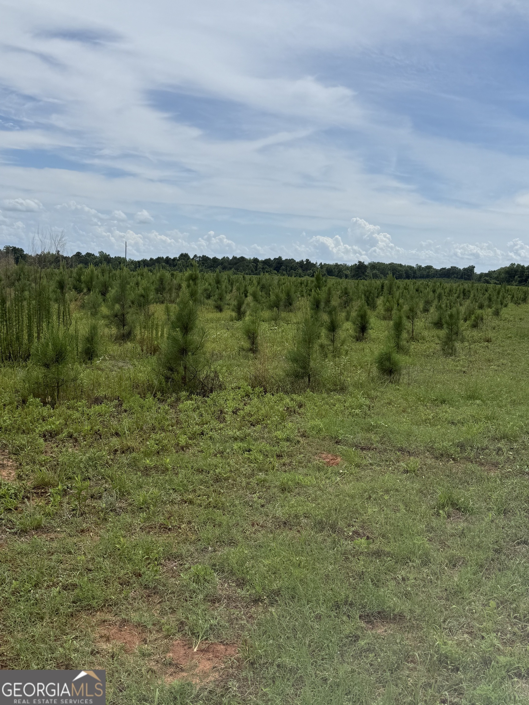 4276 County Line Road Lumpkin, GA 31815 - Photo 6 of 8