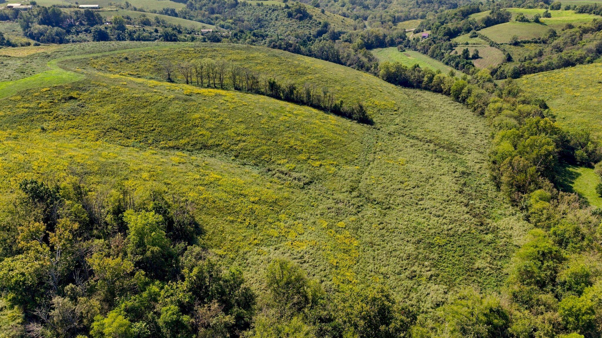3719 Kirksville Road Lancaster, KY 40444 - Photo 19 of 28 3719KirkswilleDrone-011