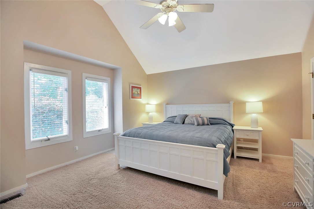 13908 North Point Road Midlothian, VA 23112 - Photo 11 of 24 Gallery Image 11