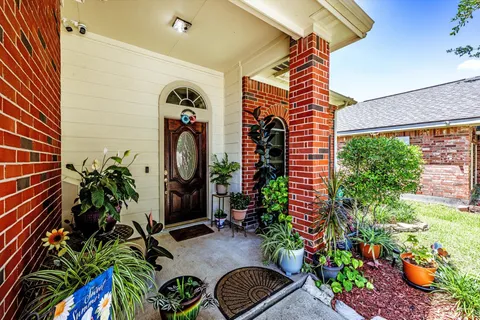 a potted plant sitting in front of a house