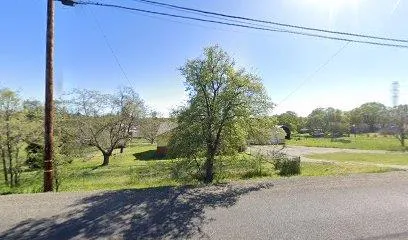 a view of a park with large trees