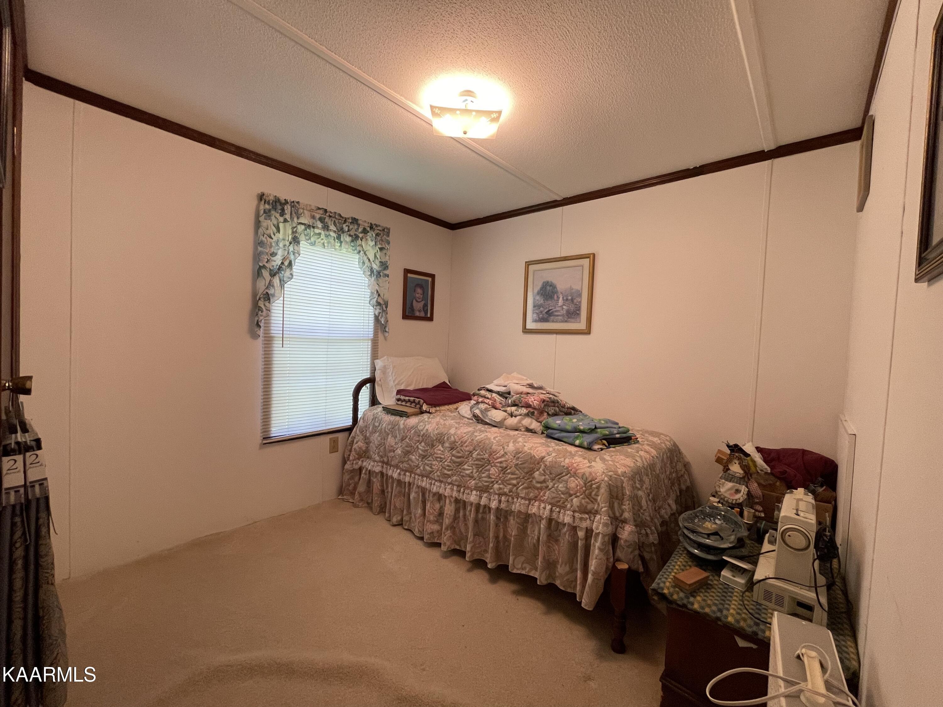 8636 Greenwell Road Powell, TN 37849 - Photo 14 of 27 IMG_2960