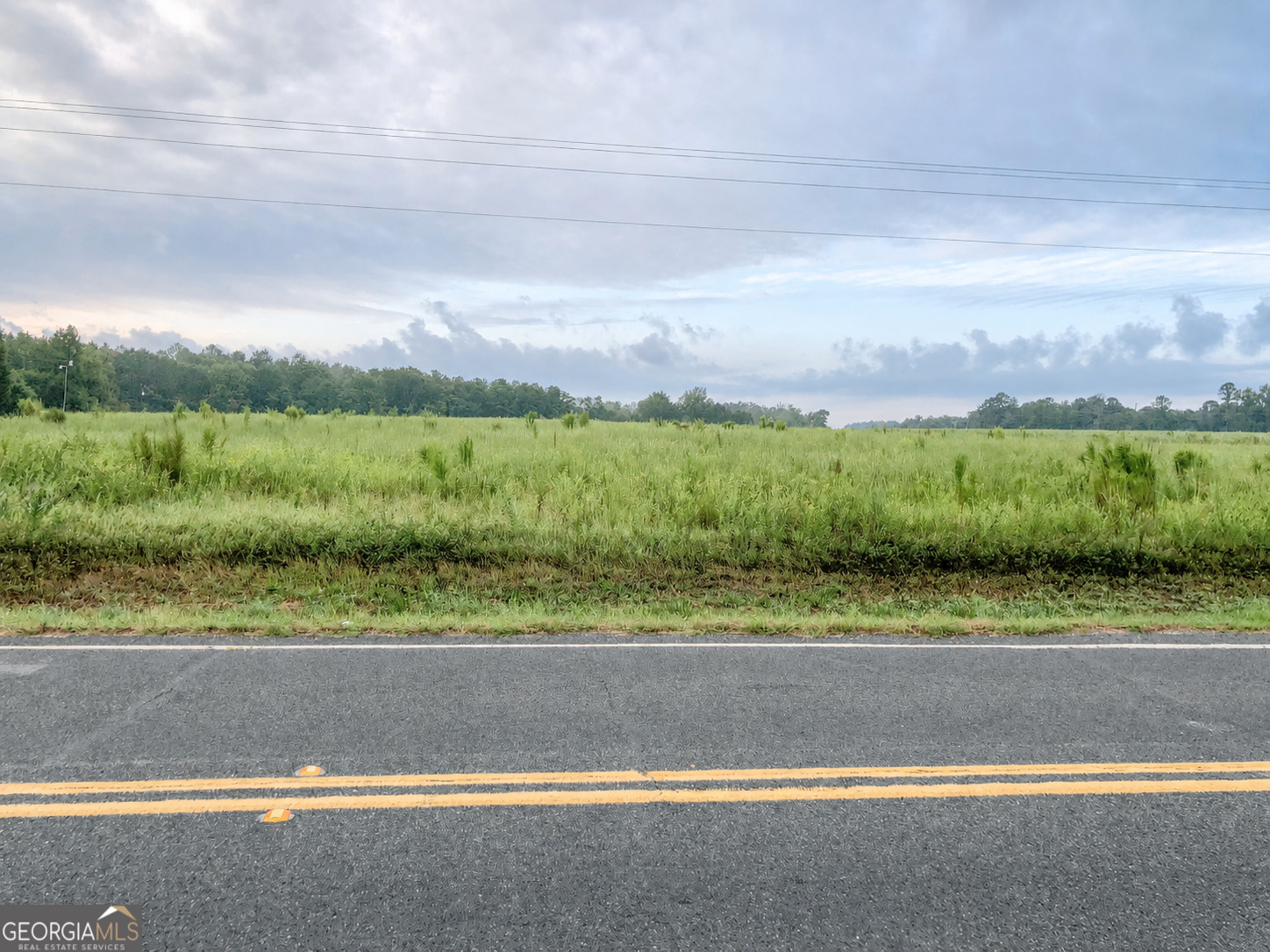 0 Highway 126 Cochran, GA 31014 - Photo 5 of 7