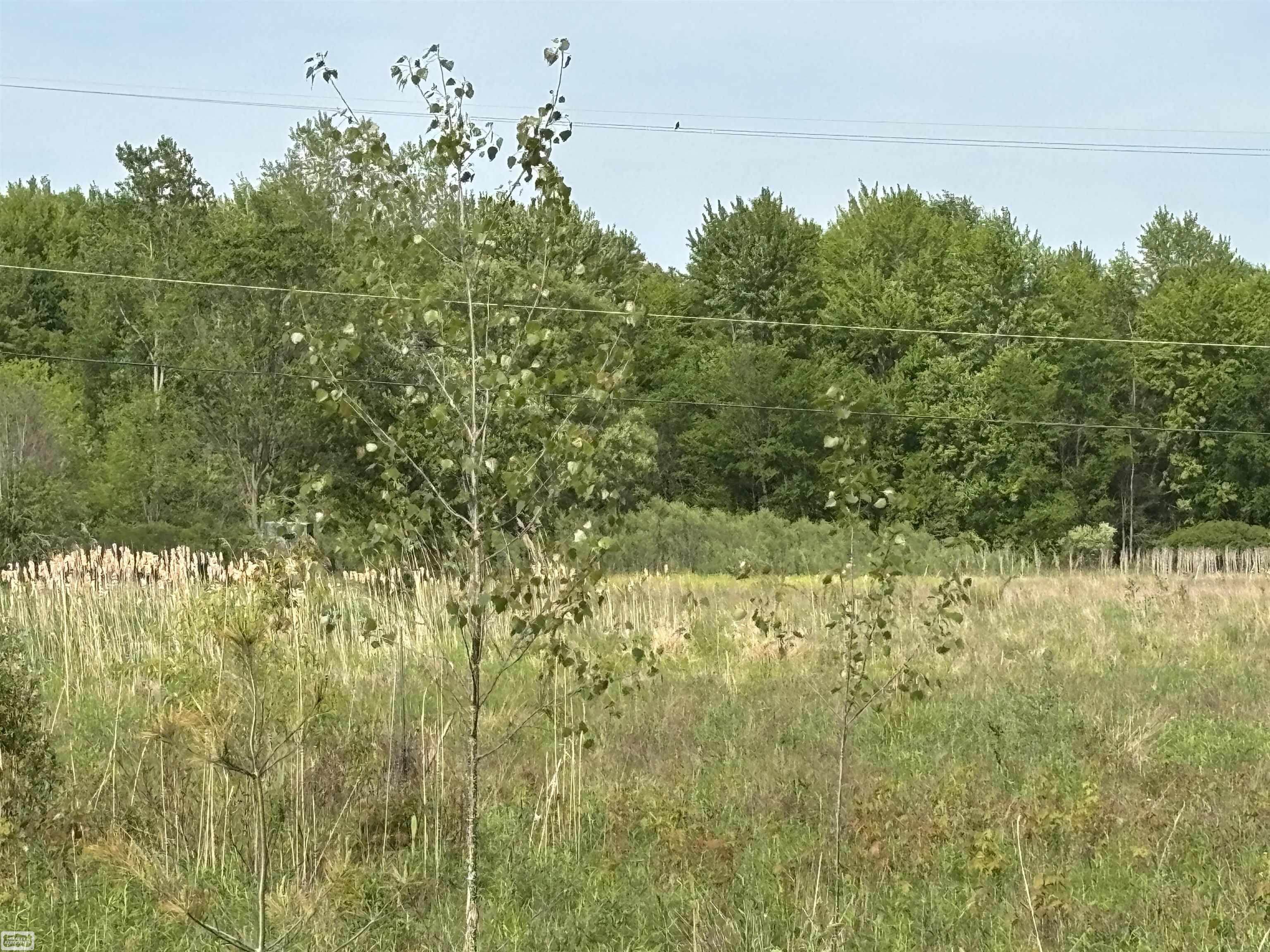 Richman Road Smiths Creek, MI 48074 - Photo 5 of 7
