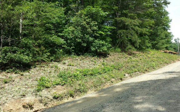 36 B Windy Ridge Lane Murphy, NC 28906 - Photo 1 of 1 Main View