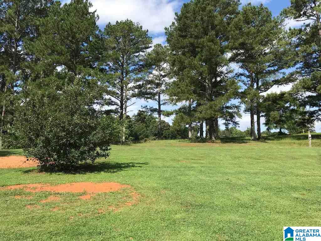 4695 Mcintosh Road Oxford, AL 36203 - Photo 35 of 49