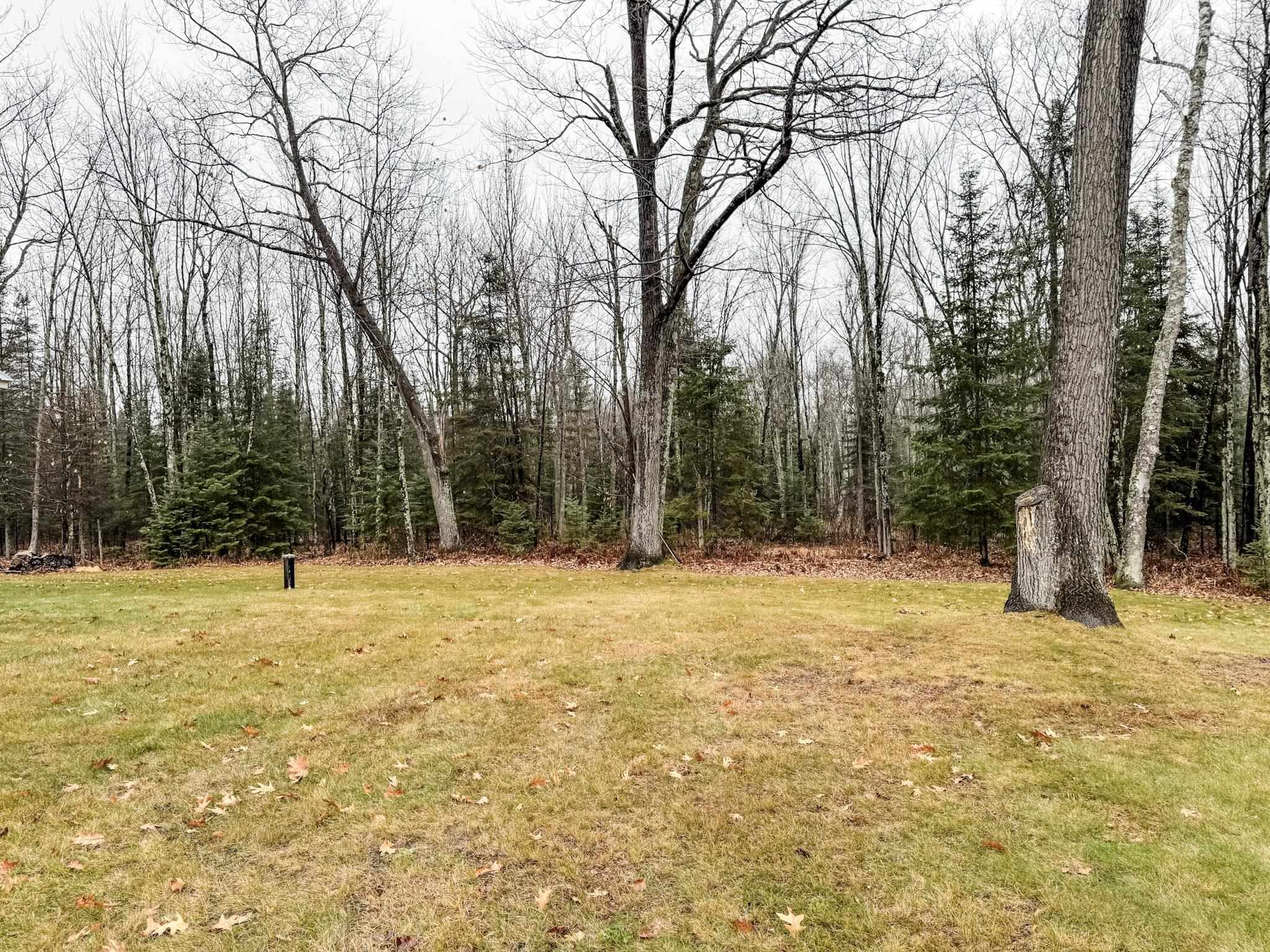 11466 Westerlund Loop Solon Springs, WI 54873 - Photo 41 of 55 View of grassy yard featuring a view of trees