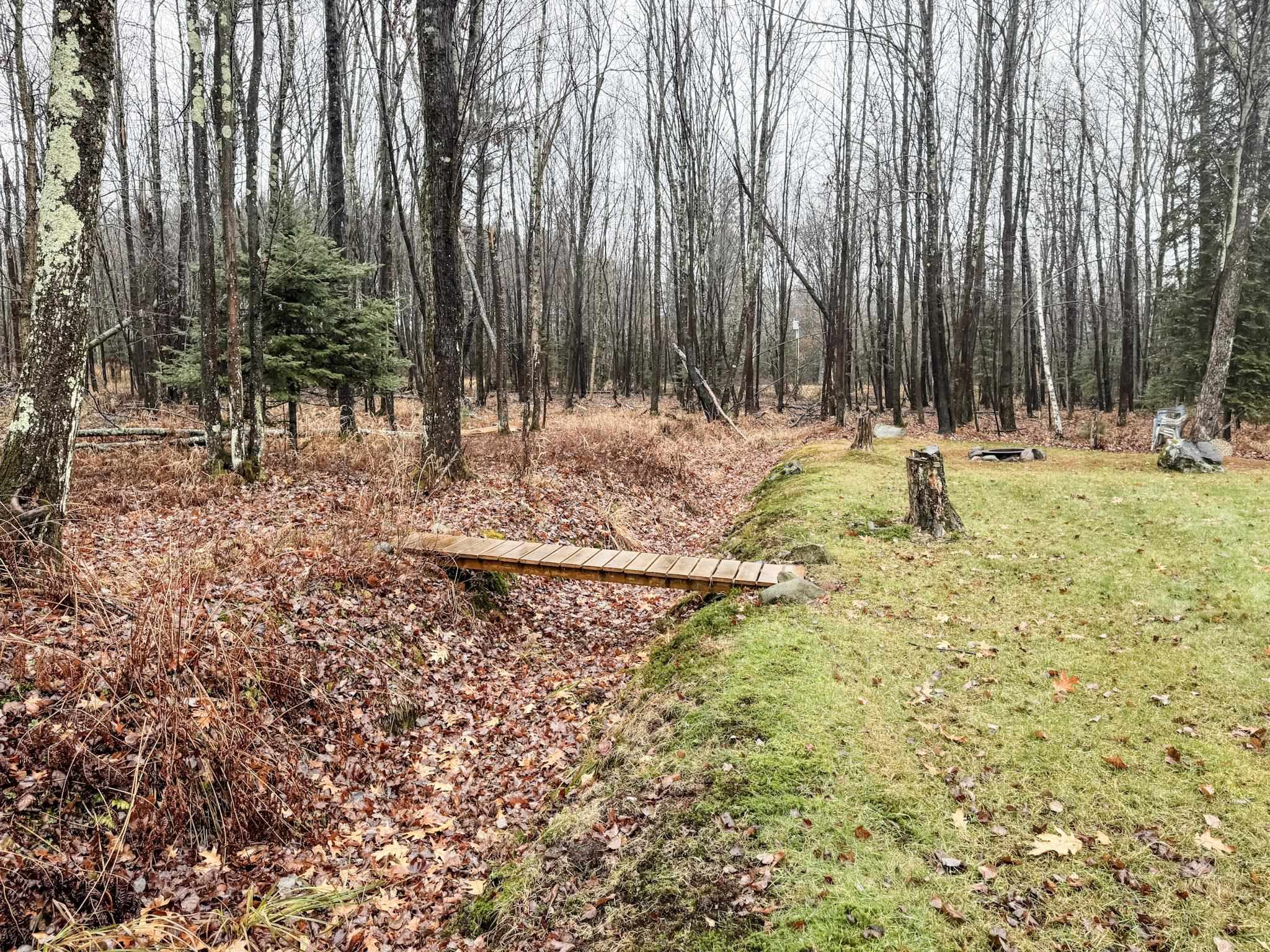 11466 Westerlund Loop Solon Springs, WI 54873 - Photo 44 of 55 View of green lawn with a view of trees