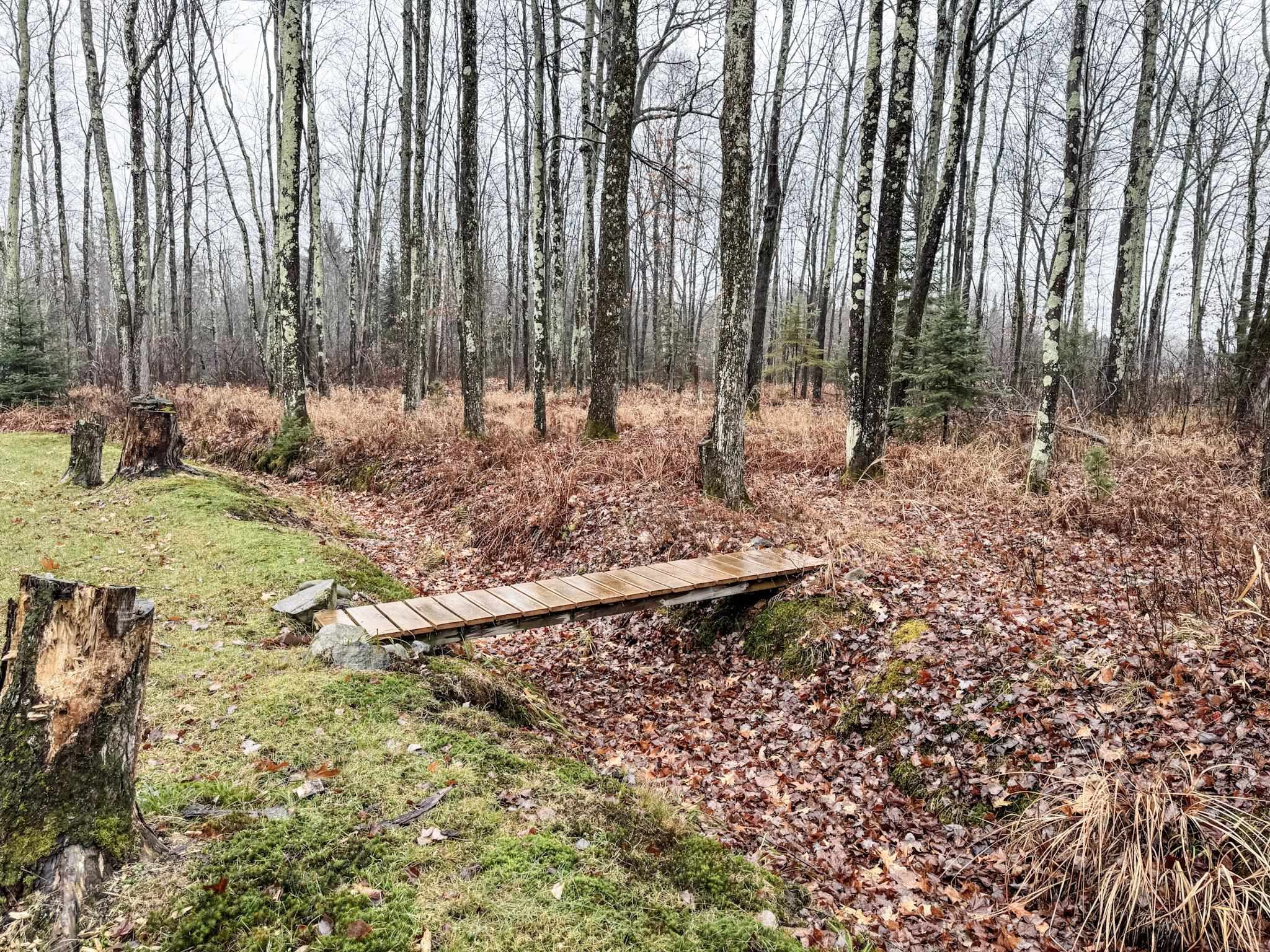 11466 Westerlund Loop Solon Springs, WI 54873 - Photo 46 of 55 View of yard