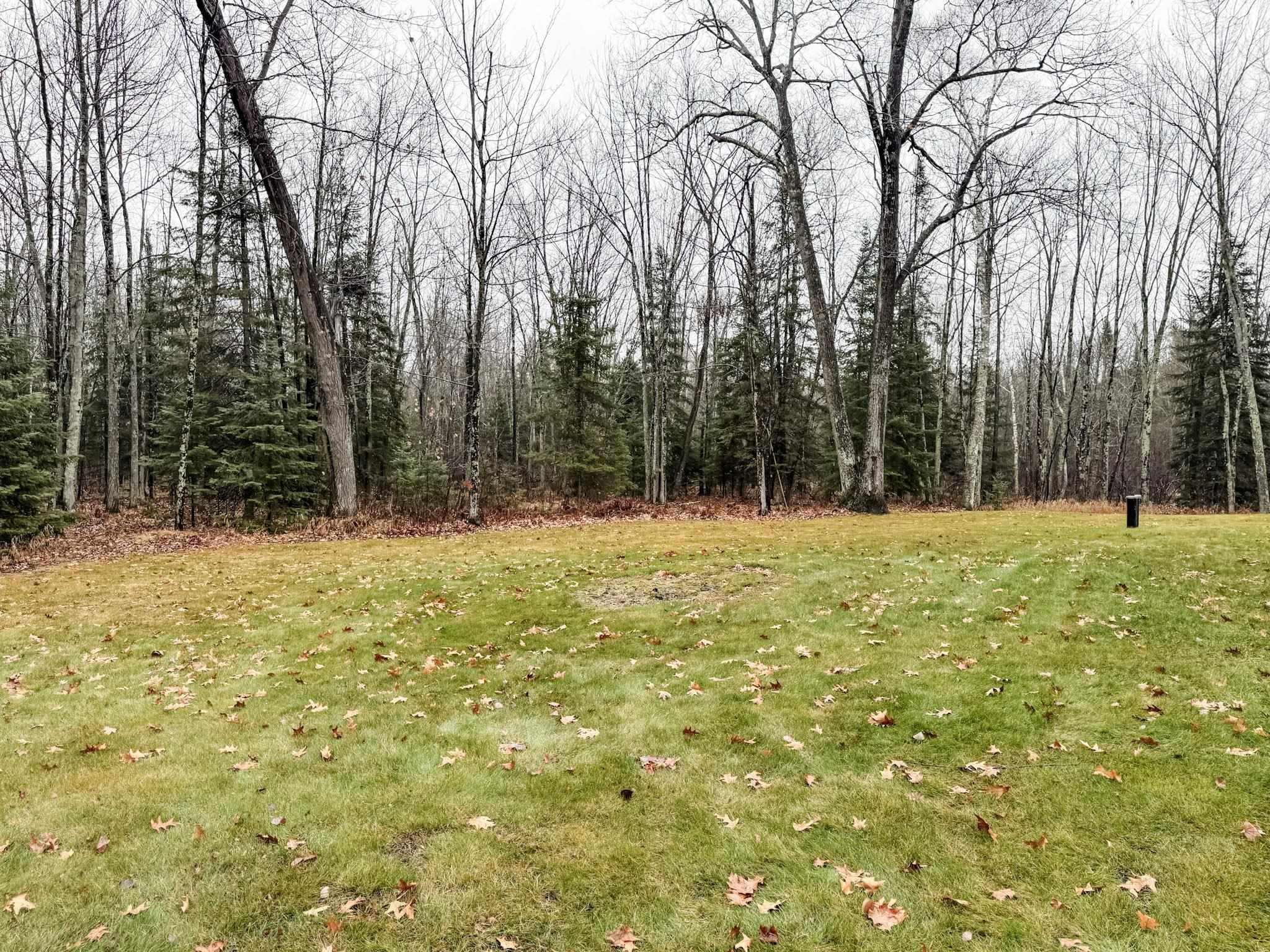 11466 Westerlund Loop Solon Springs, WI 54873 - Photo 51 of 55 View of grassy yard featuring a view of trees