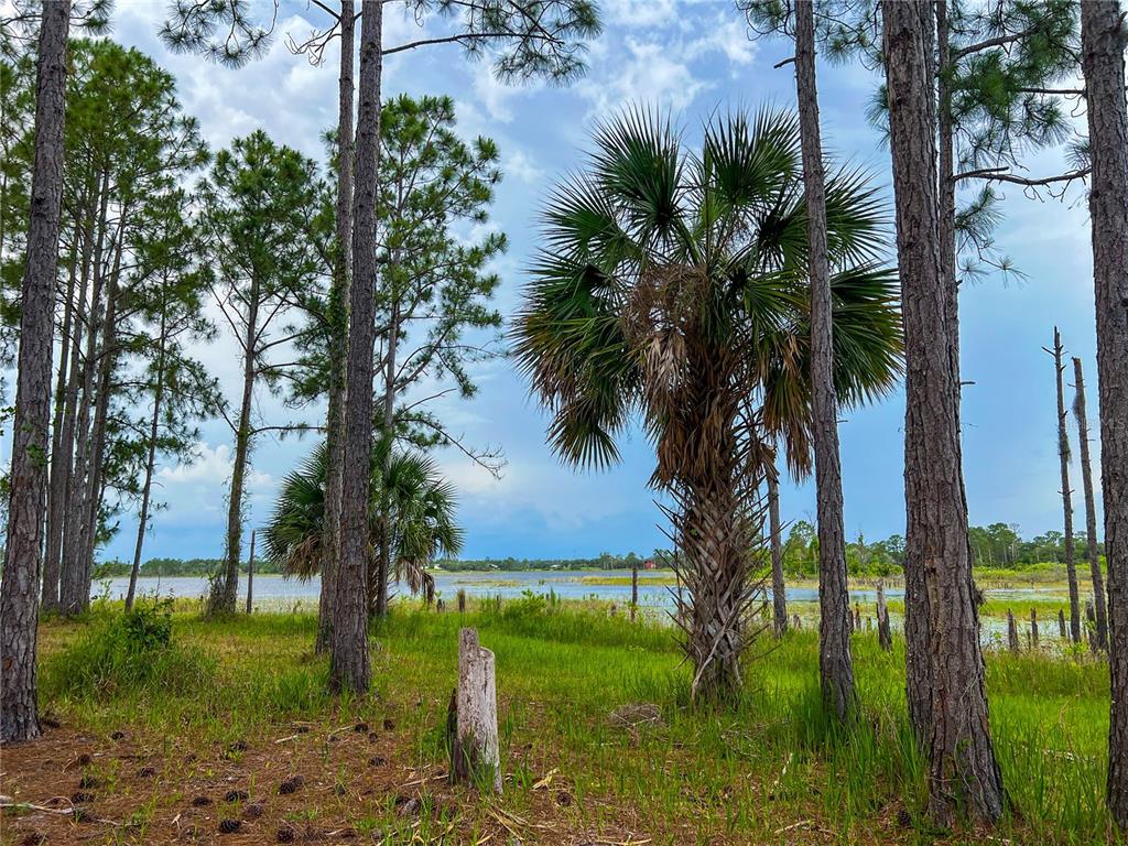 2332 Mitchell Island Road Deltona, FL 32738 - Photo 11 of 18