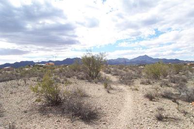 5171 North Silverbell Road Tucson, AZ 85745 - Photo 6 of 7