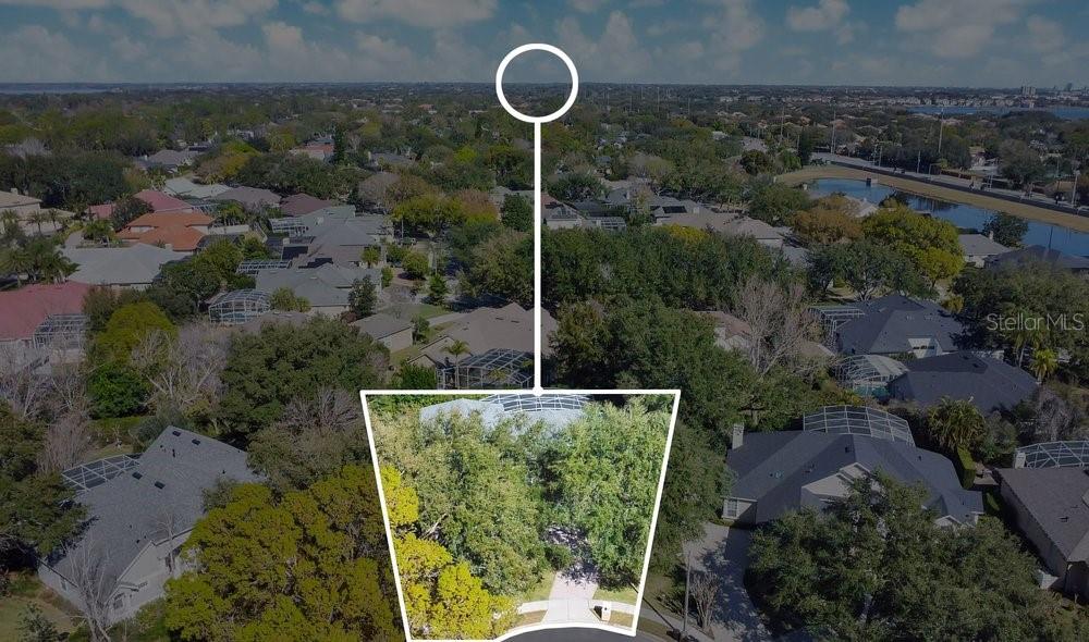 8717 Ellesmere Place Orlando, FL 32836 - Photo 33 of 33