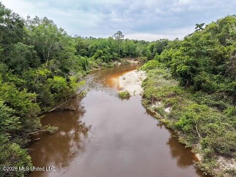 Mcneill Mchenry Road Poplarville, MS 39470 - Photo 5 of 14 5
