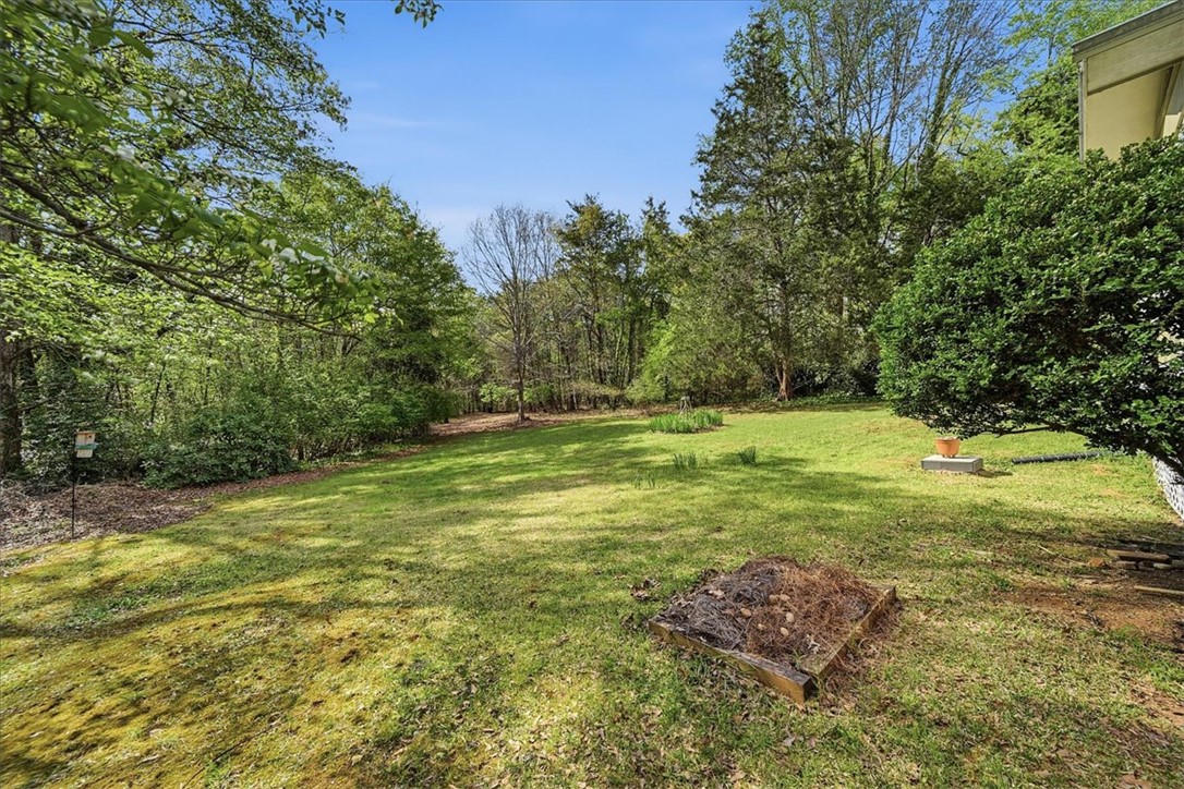 729 State Rd S-37-359 Seneca, SC 29672 - Photo 29 of 35 Expansive green yard bordered by lush trees offers a serene natural setting.