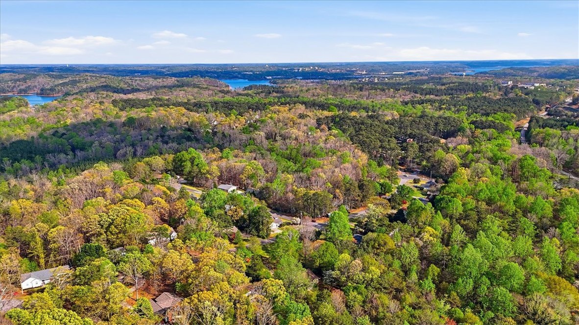 729 State Rd S-37-359 Seneca, SC 29672 - Photo 34 of 35 This panoramic view captures the tranquil landscape with lush trees and distant waters.