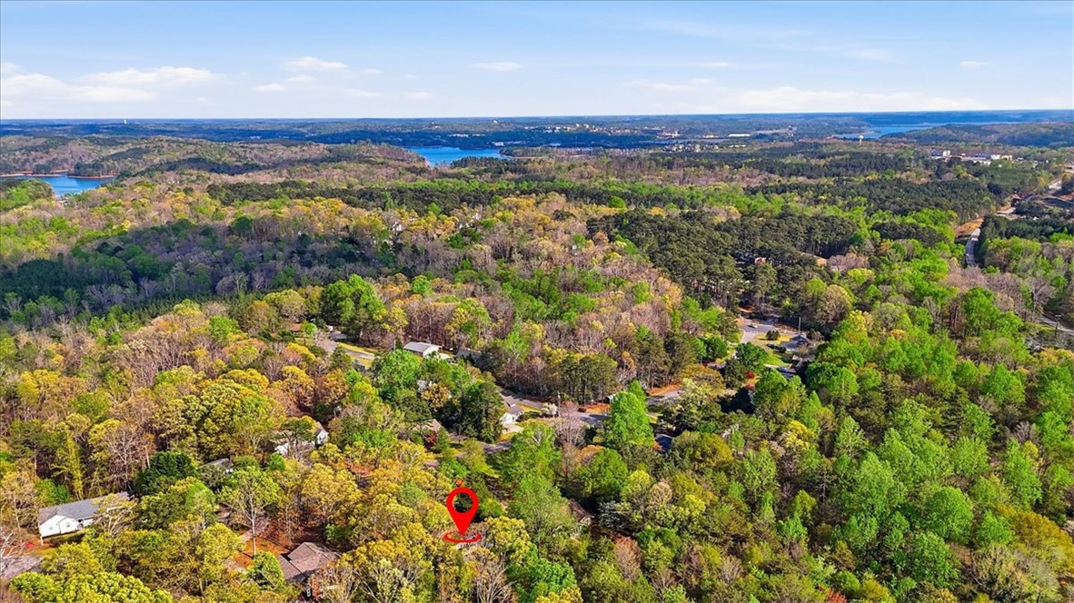 729 State Rd S-37-359 Seneca, SC 29672 - Photo 35 of 35 This elevated view captures an expansive, verdant landscape with distant water features.