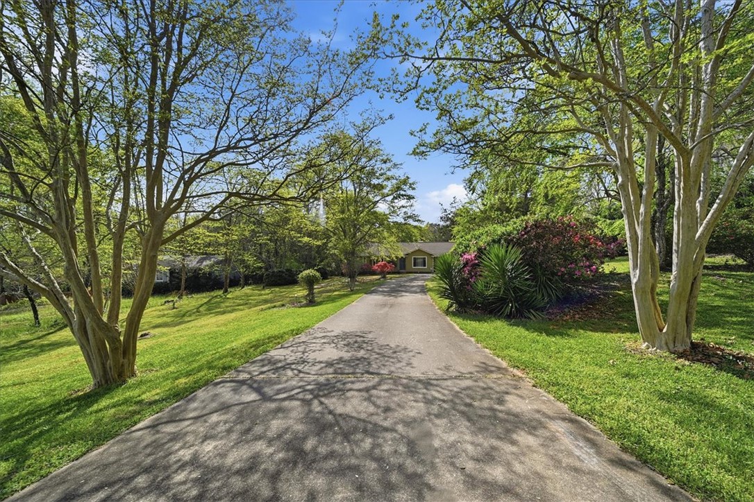 729 State Rd S-37-359 Seneca, SC 29672 - Photo 4 of 35 A long paved driveway leads to a welcoming home nestled amidst lush, mature landscaping.