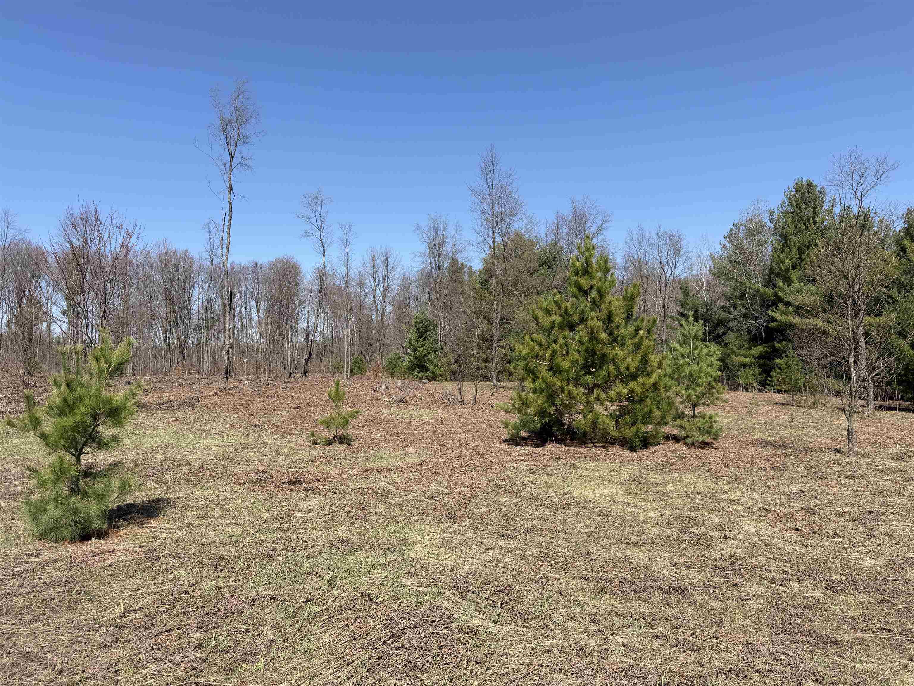 0 Landis Road Thompsonville, MI 49683 - Photo 3 of 26